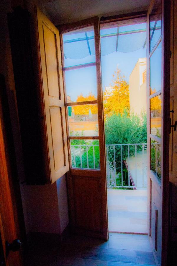 "Sea & Center" Free Beach, Wifi, Mini Pool, Roof Terrace, Ladispoli, Rome 外观 照片